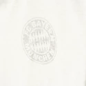 Pánské tričko adidas FC Bayern Mnichov GR AP1664