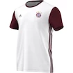 Pánské tričko adidas FC Bayern Mnichov S95553