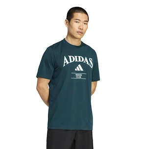 Pánské tričko adidas  Heritage Graphic Tee Aurora Ivy