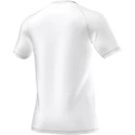 Pánské tričko adidas Juventus FC Anthem AI5116