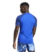 Pánské tričko adidas  Melbourne Ergo Tennis HEAT.RDY Raglan T-Shirt Blue
