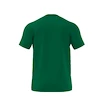 Pánské tričko adidas NBA Boston Celtics WSHD