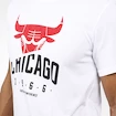 Pánské tričko adidas NBA Chicago Bulls AH5060