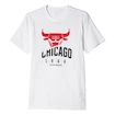 Pánské tričko adidas NBA Chicago Bulls AH5060