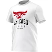 Pánské tričko adidas NBA Chicago Bulls AH5060