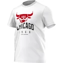 Pánské tričko adidas NBA Chicago Bulls AH5060