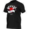 Pánské tričko adidas NBA Chicago Bulls AH5069