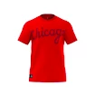 Pánské tričko adidas NBA Chicago Bulls WSHD