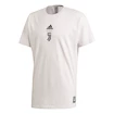 Pánské tričko adidas Seasonal Special Juventus FC