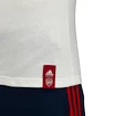 Pánské tričko adidas Street Graphic Arsenal FC bílé