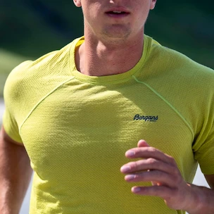 Pánské tričko Bergans  Floyen Wool Tee Green XL