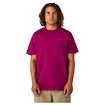 Pánské tričko CCM  Casual Tee Boysenberry