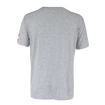 Pánské tričko CCM  FLAG TEE TEAM AUSTRIA Athletic Grey