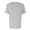 Pánské tričko CCM  FLAG TEE TEAM CZECH Athletic Grey