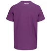 Pánské tričko Head  Vision T-Shirt Men LC