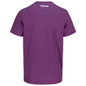 Pánské tričko Head  Vision T-Shirt Men LC