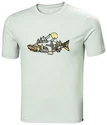 Pánské tričko Helly Hansen  F2F Organic Cotton T-Shirt Powder Green