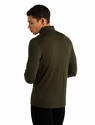 Pánské tričko Icebreaker  M 260 Tech LS Half Zip Loden