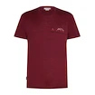 Pánské tričko Icebreaker Merino 150 Tech Lite SS T Sing Li Cmp Port XL