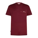 Pánské tričko Icebreaker Merino 150 Tech Lite SS T Sing Li Cmp Port XL