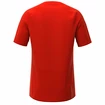 Pánské tričko Inov-8  Base Elite SS Red
