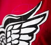 Pánské tričko Mitchell & Ness Black And White Logo NHL Detroit Red Wings