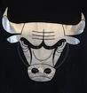 Pánské tričko Mitchell & Ness Metallic Silver Center NBA Chicago Bulls