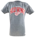Pánské tričko Mitchell & Ness Team Arch NHL Detroit Red Wings