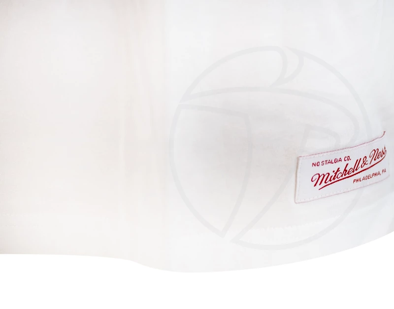 Pánské tričko Mitchell & Ness Team Arch White NBA Chicago Bulls