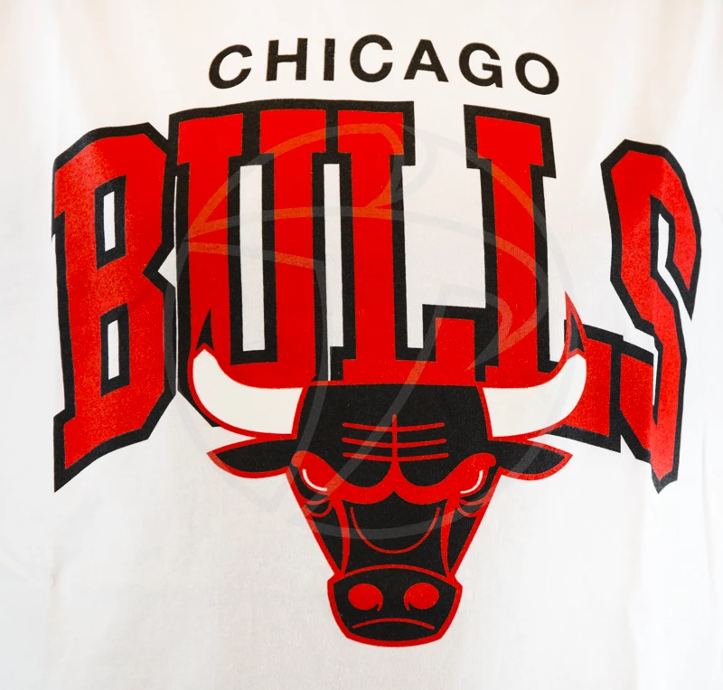 Pánské tričko Mitchell & Ness Team Arch White NBA Chicago Bulls
