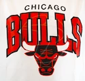 Pánské tričko Mitchell & Ness Team Arch White NBA Chicago Bulls