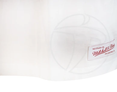 Pánské tričko Mitchell & Ness Team Arch White NBA Chicago Bulls