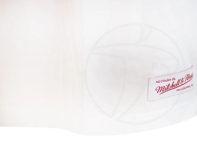 Pánské tričko Mitchell & Ness Team Arch White NBA Chicago Bulls