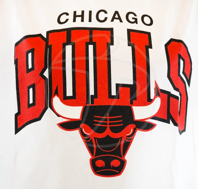 Pánské tričko Mitchell & Ness Team Arch White NBA Chicago Bulls