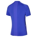 Pánské tričko Mizuno  Shadow Polo Violet Blue