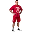 Pánské tričko Nebbia NEBBIA x OLYMPIA Washed Oversized T-Shirt GOLDEN AGE 790 red