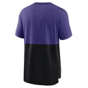 Pánské tričko Nike  Colorblock NFL Minnesota Vikings