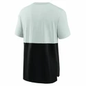 Pánské tričko Nike  Colorblock NFL Oakland Raiders