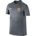Pánské tričko Nike Squad AS Monaco FC 808842-065