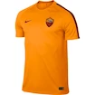 Pánské tričko Nike Squad AS Řím 809800-863