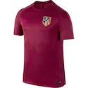 Pánské tričko Nike Squad Atlético Madrid 808852-620