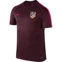 Pánské tričko Nike Squad Atlético Madrid 808852-681