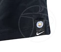 Pánské tričko Nike Squad Manchester City FC 805727-010