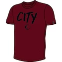 Pánské tričko Nike Squad Manchester City FC 805727-677