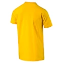 Pánské tričko Puma Arsenal FC Fan Crest 74929711
