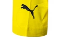 Pánské tričko Puma Borusse Borussia Dortmund 750725011