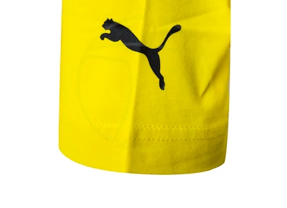Pánské tričko Puma Borusse Borussia Dortmund 750725011
