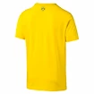 Pánské tričko Puma Borussia Dortmund Cyber