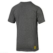 Pánské tričko Puma Borussia Dortmund šedé