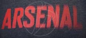Pánské tričko Puma Fan Arsenal FC 750742021
